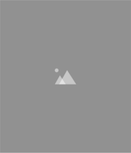placeholder-grey-2